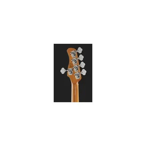 Marcus Miller V5 24-5 TS