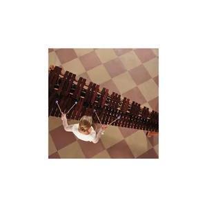 Marimba One KMR5 Katarzyna Mycka Mallets