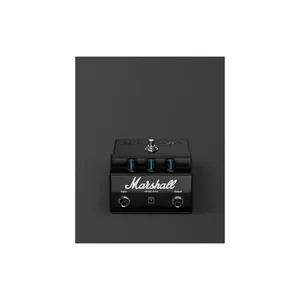 Marshall Bluesbreaker