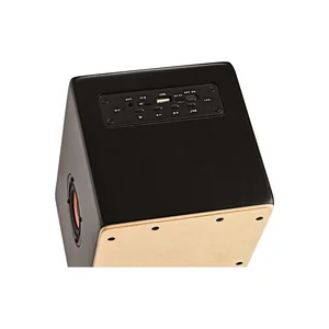 Meinl Mini Cajon Speaker