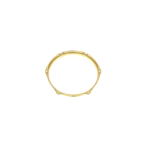 Millenium 10" 6-Hole Steel Hoop Brass