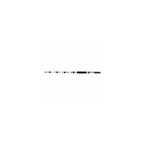 Millenium Boompole S