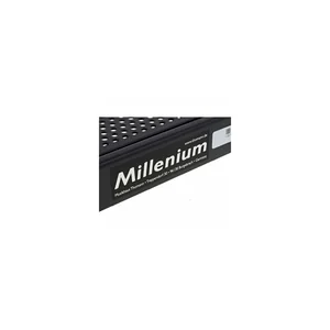 Millenium Protection Panel Key 2U