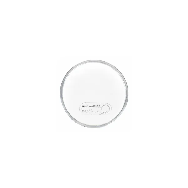 Millenium QuiHead 06" Mesh Head