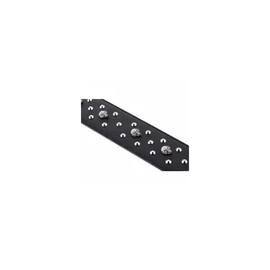 Minotaur R2 Rivet & Skull Strap