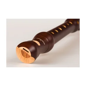 Mollenhauer 1003d Student Soprano Recorder