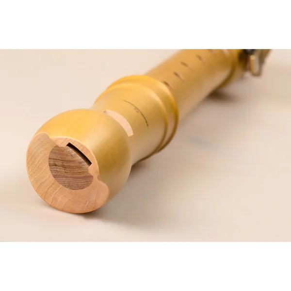 Mollenhauer 2166 Canta Soprano Recorder