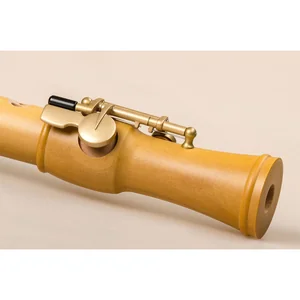 Mollenhauer 2246 Canta Alto Recorder