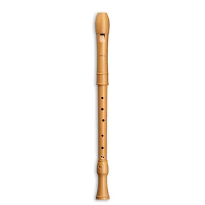 Mollenhauer 2406 Canta Tenor Recorder