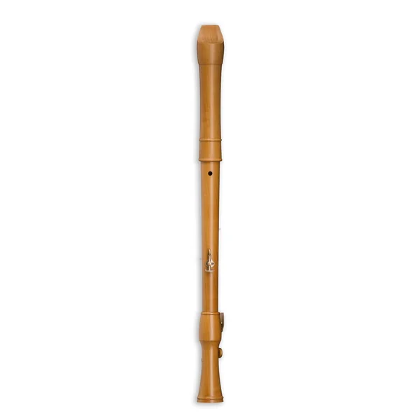 Mollenhauer 2446C Canta Comfort Tenor