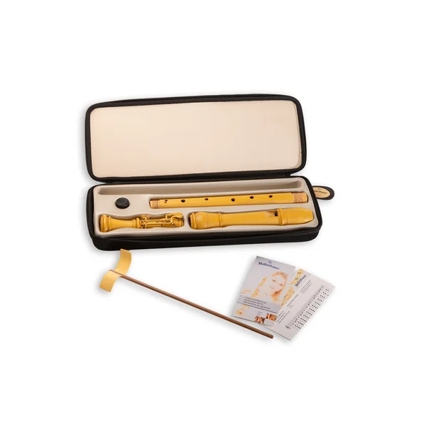 Mollenhauer 5432 Denner Tenor with Key