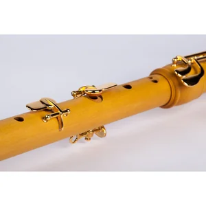 Mollenhauer 5432C Denner Comfort Tenor