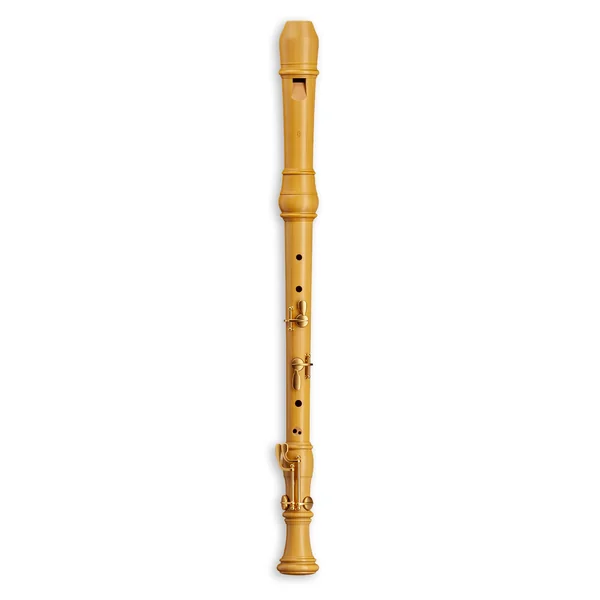 Mollenhauer 5432C Denner Comfort Tenor