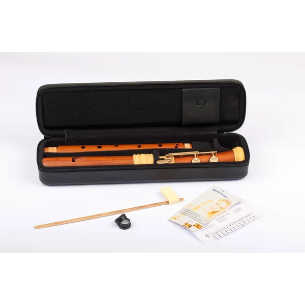 Mollenhauer TE-4428 Dream Edition Tenor