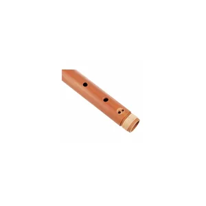 Mollenhauer Waldorf Body Tenor DL