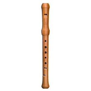 Mollenhauer Waldorf Edition Soprano DL