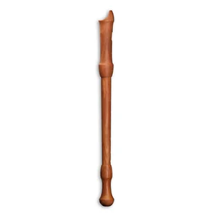 Mollenhauer Waldorf Edition Tenor Recorder