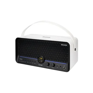 Mooer F40i Model. Guitar Combo SW