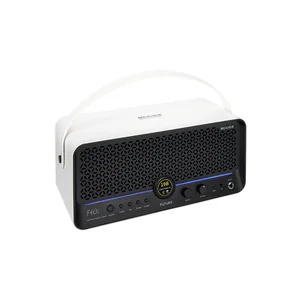 Mooer F40i Model. Guitar Combo SW