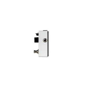 Mooer Micro Looper