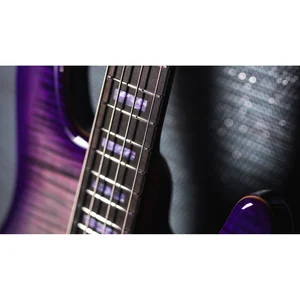 Music Man Dark Ray BFR Grapes Of Wrath