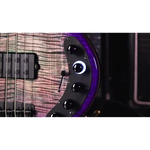 Music Man Dark Ray BFR Grapes Of Wrath