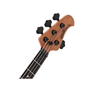 Music Man Dark Ray Obsidian Black