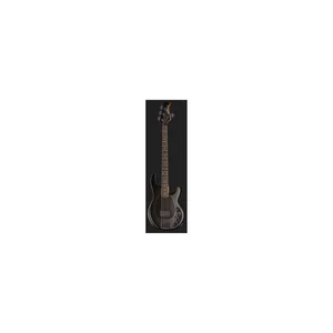 Music Man Dark Ray Stealth Black