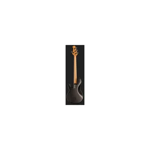 Music Man Dark Ray Stealth Black
