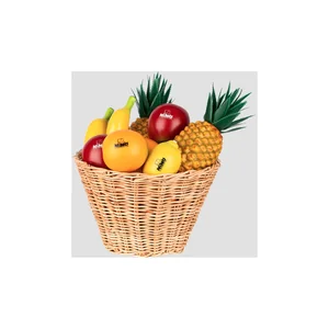 Nino Botany Shaker Set Fruits