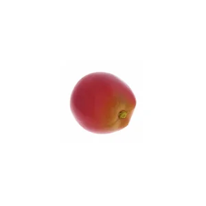 Nino Nino 596 Botany Shaker Apple