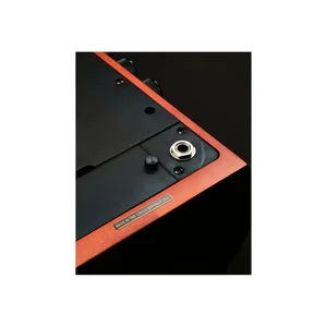 NS Design CR5 Upright Bass Amber