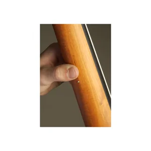 NS Design CR5 Upright Bass Amber