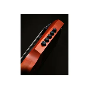 NS Design CR5 Upright Bass Amber