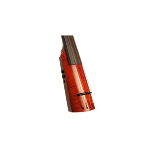 NS Design WAV4c Bass Amberburst