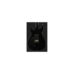 PRS 40th Anniv. Custom 24 SuZ #2