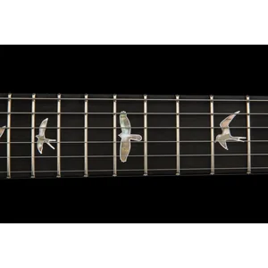 PRS 40th Anniv. Custom 24 SuZ #2