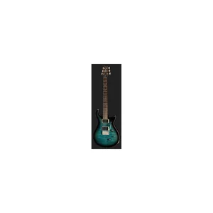 PRS 40th Anniv. Custom 24 SuZ