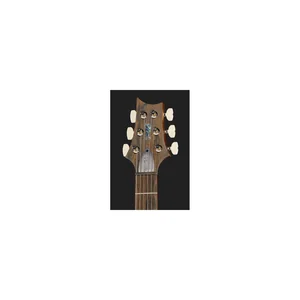 PRS 40th Anniv. Custom 24 TE
