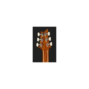PRS 40th Anniv. Custom 24 TE