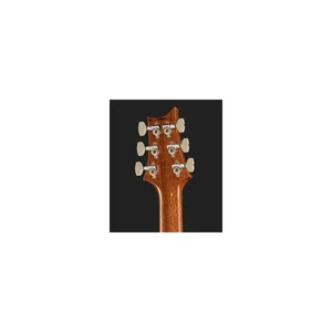 PRS 40th Anniversary CU 24 TE