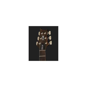 PRS 40th Anniversary Custom 24 SuZ