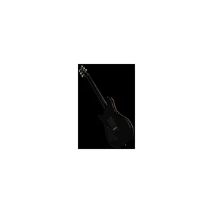 PRS 40th Anniversary Custom 24 SuZ