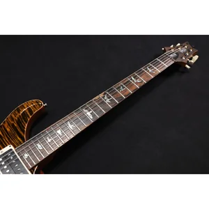 PRS 40th Anniversary Custom 24 TE
