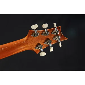 PRS 40th Anniversary Custom 24 TE