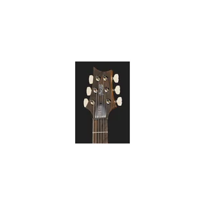 PRS 40th Anniversary Custom 24 TE