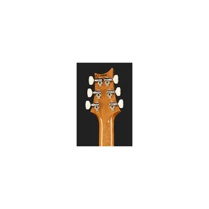 PRS 40th Anniversary Custom 24 TE