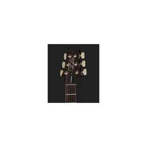 PRS Custom 24-08 10 PWSB