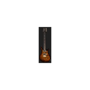 PRS Custom 24-08 10 Top BGB