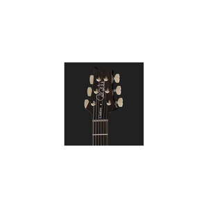 PRS Custom 24/08 10 Top PT